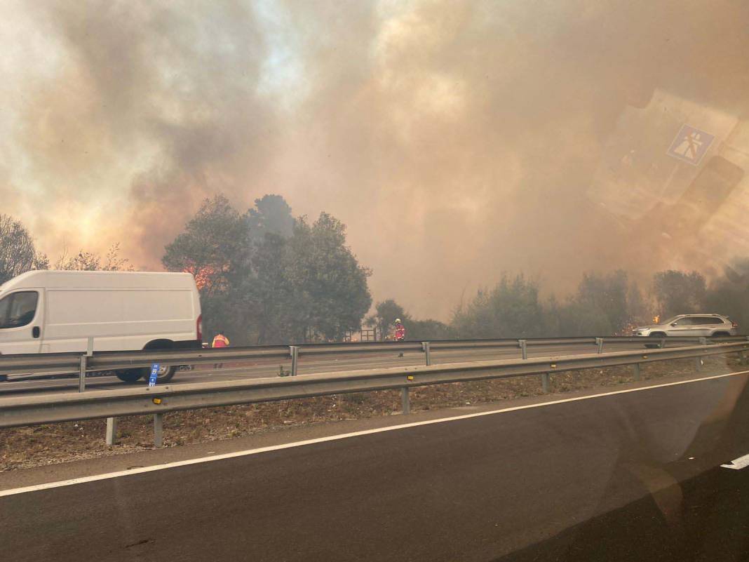 OHAL ilan edilmişti: Şili’deki orman yangınlarında can kaybı 19’a yükseldi! 12