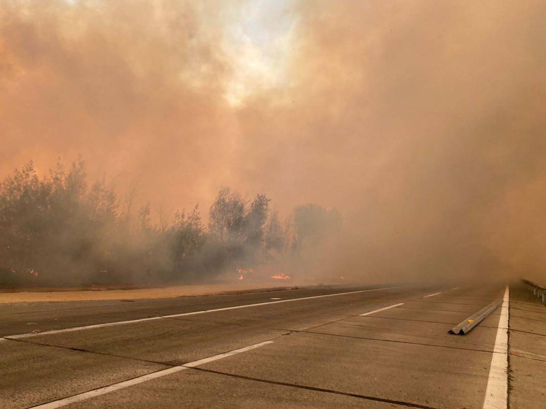 OHAL ilan edilmişti: Şili’deki orman yangınlarında can kaybı 19’a yükseldi! 14