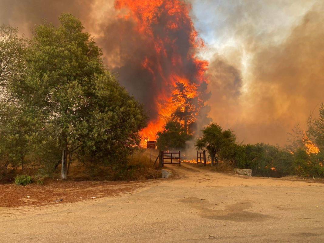 OHAL ilan edilmişti: Şili’deki orman yangınlarında can kaybı 19’a yükseldi! 11