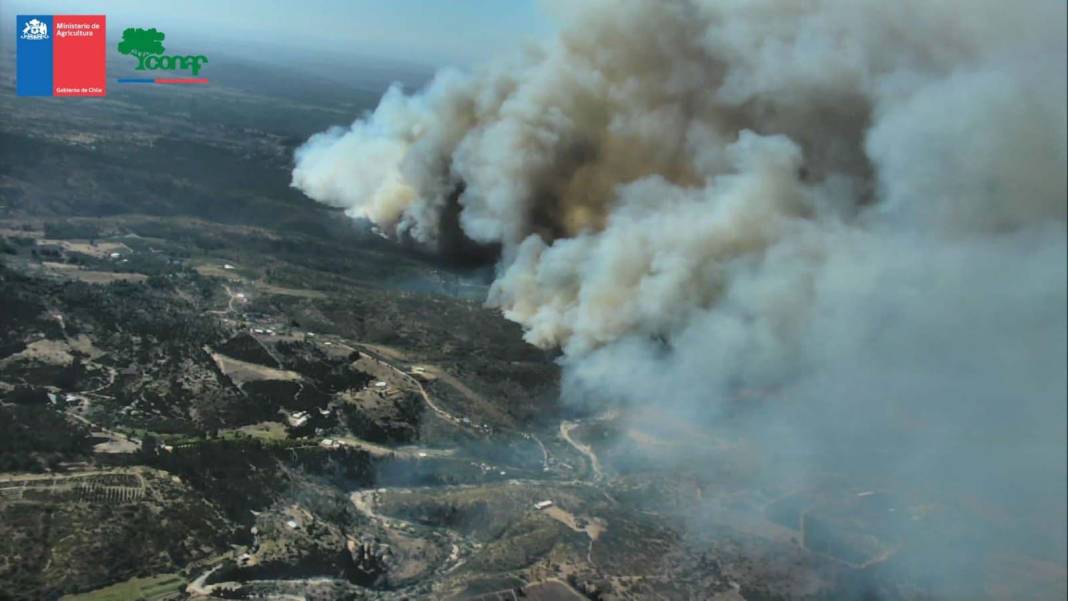 OHAL ilan edilmişti: Şili’deki orman yangınlarında can kaybı 19’a yükseldi! 13