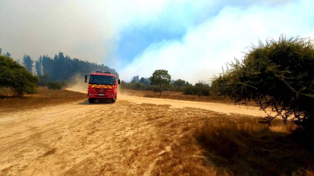 OHAL ilan edilmişti: Şili’deki orman yangınlarında can kaybı 19’a yükseldi! 9