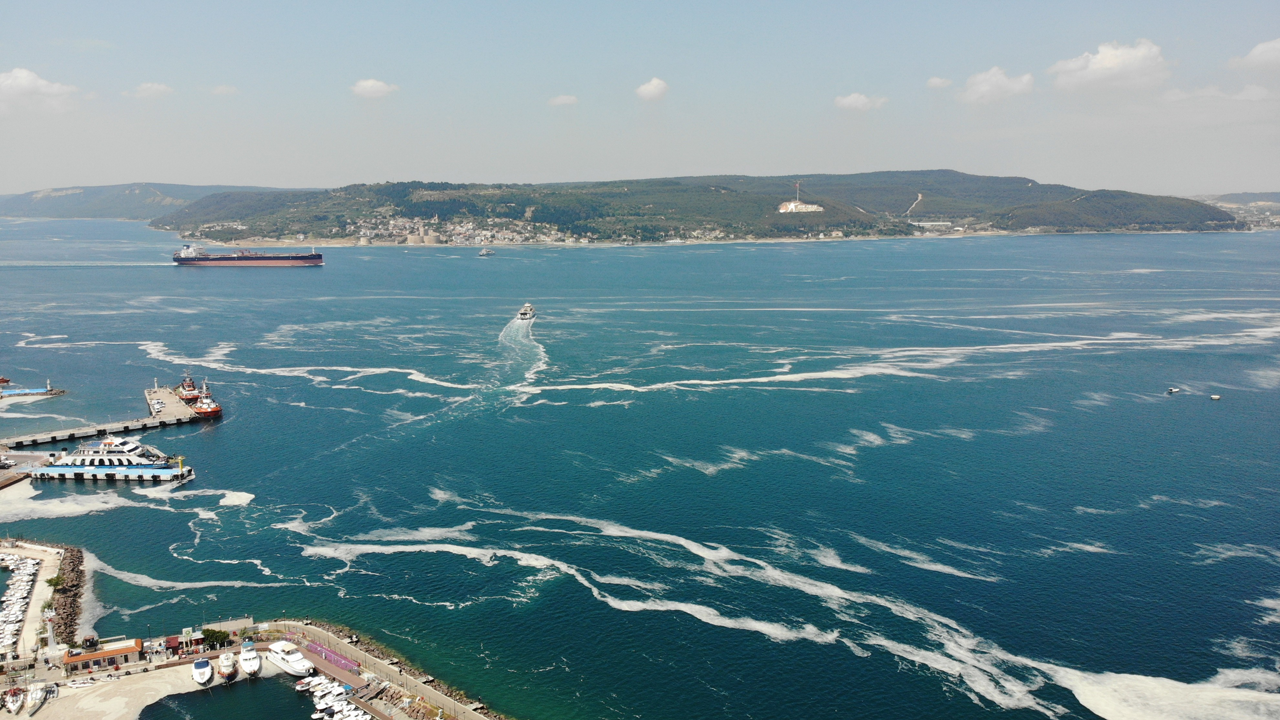 Yalancı bahar sebep oldu: Marmara'da müsilaj tehlikesi!