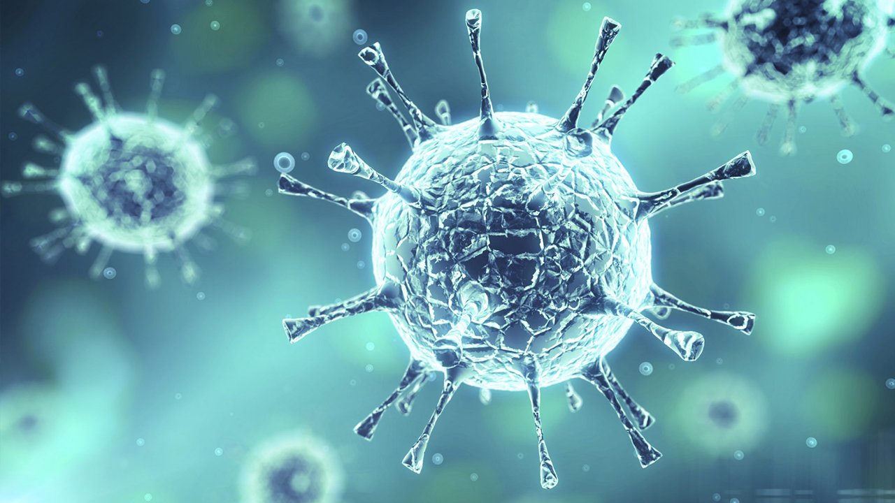 Araştırmalar yapıldı: Koronavirüs aşıları temize çıktı!