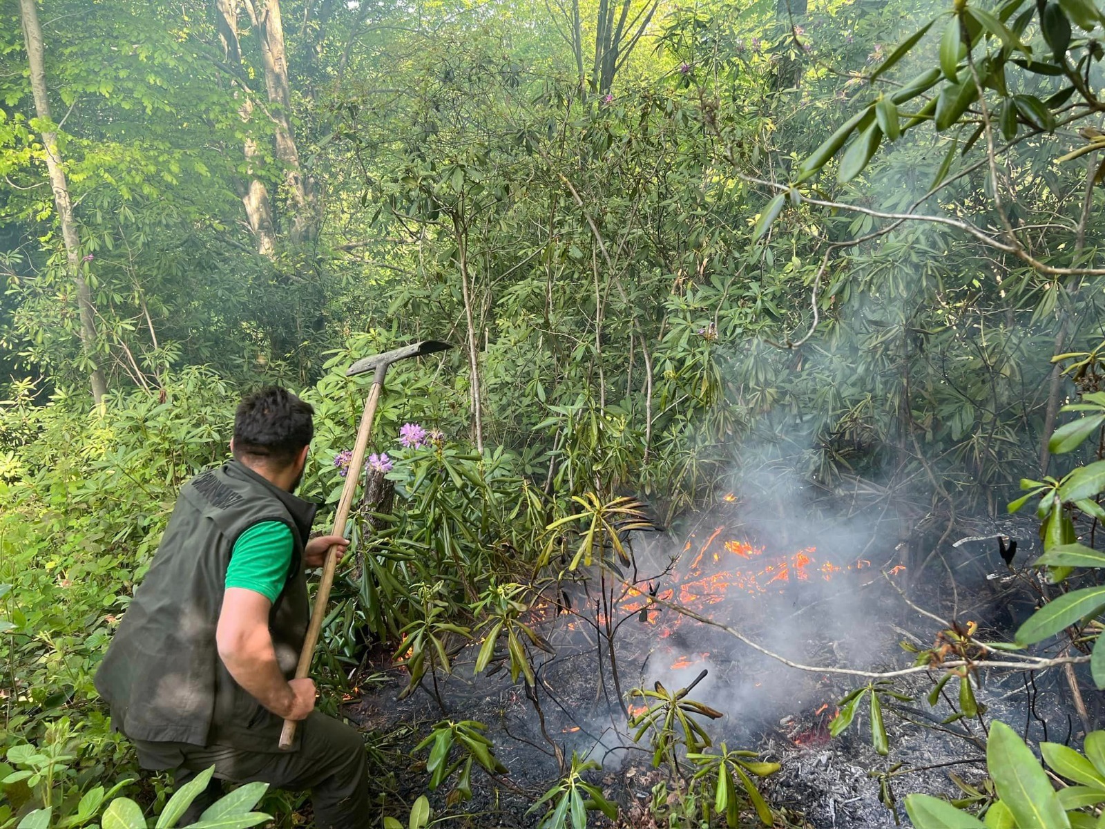 SAKARYA Bahçe temizliği için yakılan ateş ormana sıçradı, 5 dönüm alan yandı