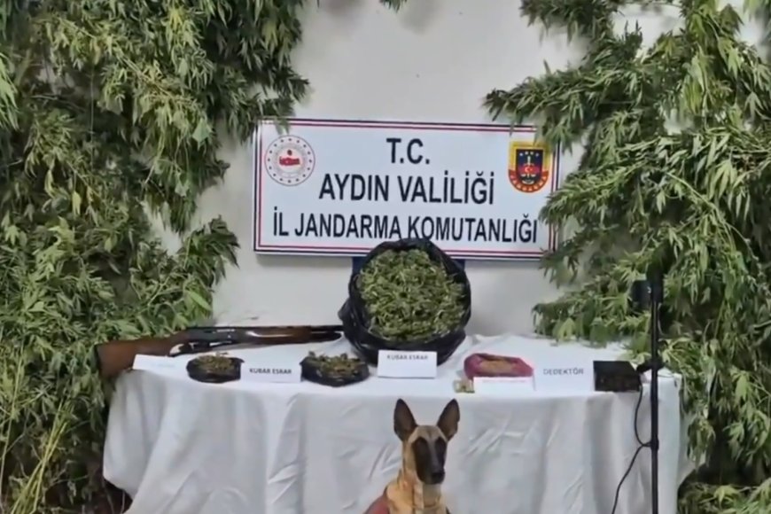 ANKARA - Bakan Yerlikaya: 19 ilde düzenlenen 'Narkoçelik-42' operasyonlarında 49 zehir taciri yakalandı